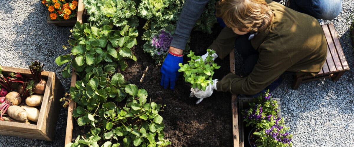 Efficient Gardening Practices