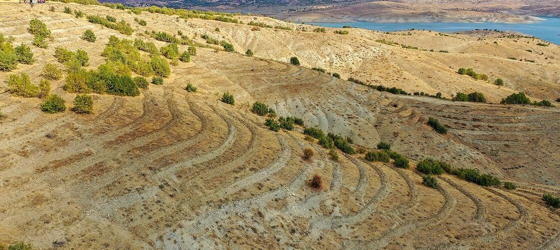 Soil Erosion Prevention