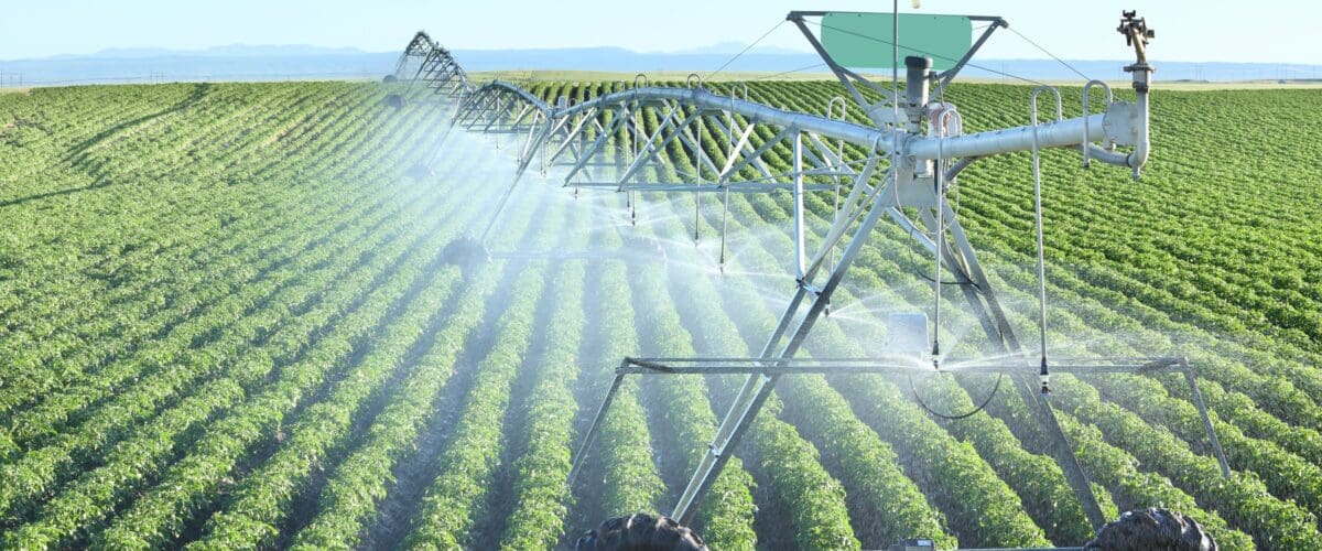 Sustainable Water Use in Agriculture