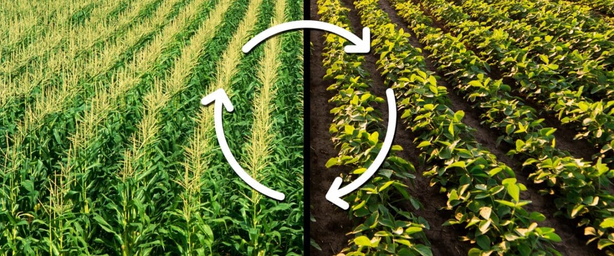 Crop Rotation Methods