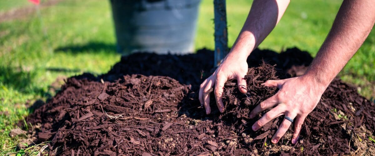 Effective Mulching Practices