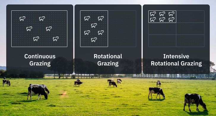 Pasture Management