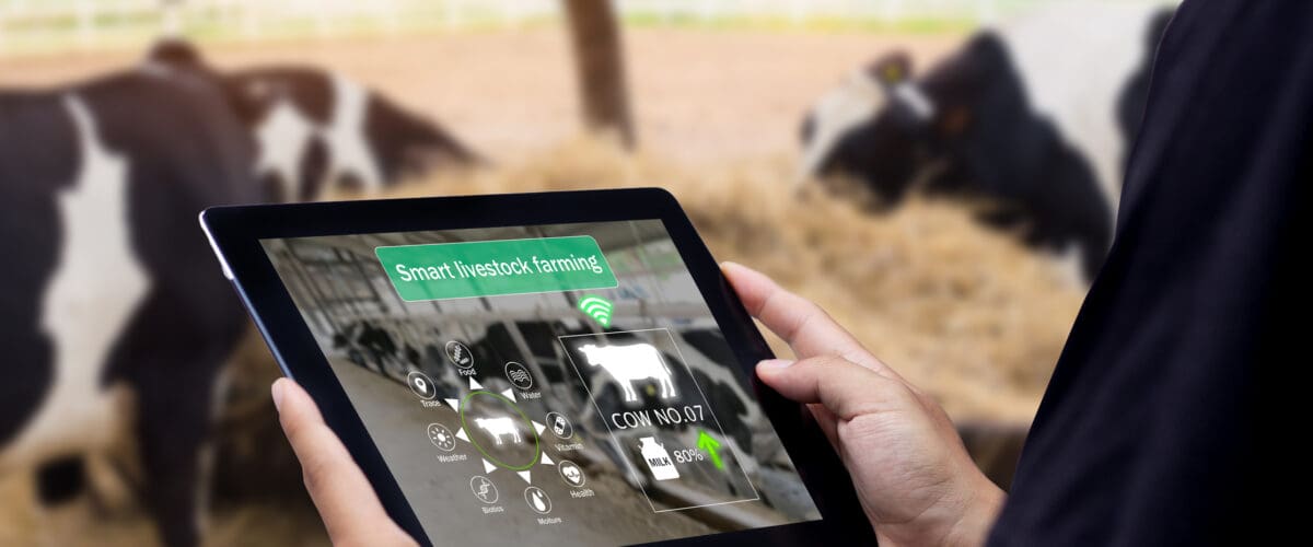 Smart Farming with Livestock